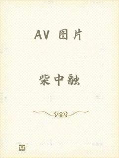 AV 图片